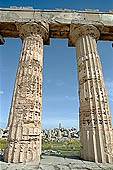 Selinunte the temple hill - A close-up of the Doric columns of temple E, 10 m high and with a diameter of more than 2 meters. 